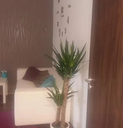 Apartament Rona Apartman *